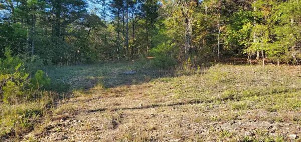 43 Thunder Road Road, Gainesville, MO 65655