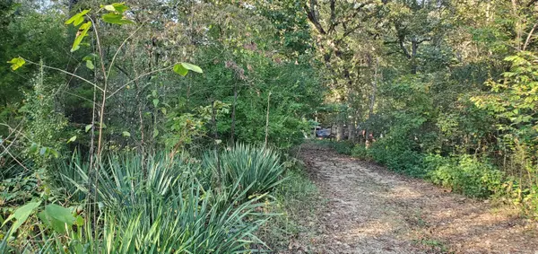 43 Thunder Road Road, Gainesville, MO 65655