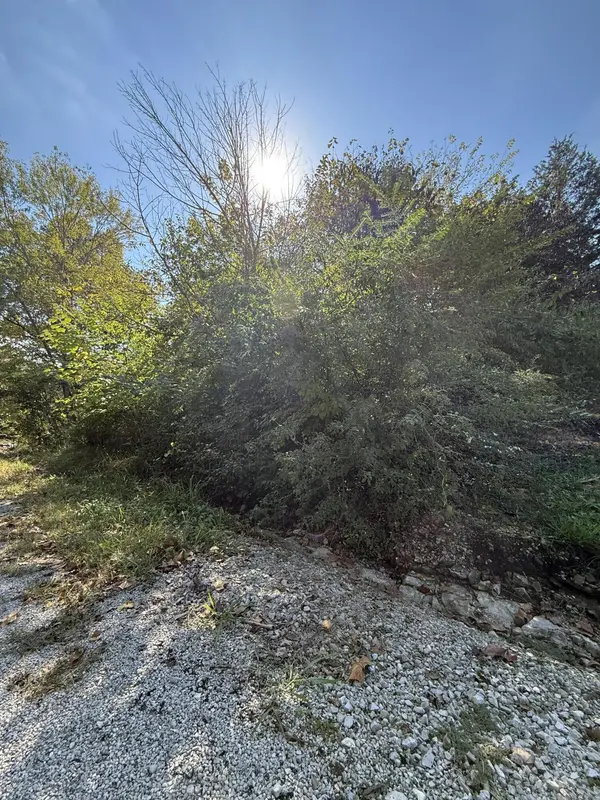 Tbd 3rd Street, Forsyth, MO 65653