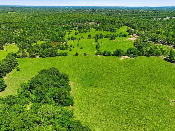 210 County Road 320, Alton, MO 65606