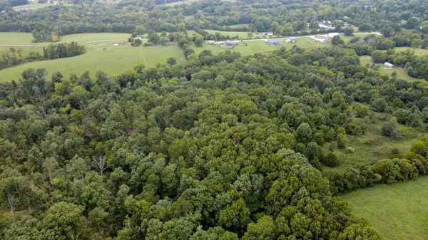 363 Henry DR, Ozark, MO 65721
