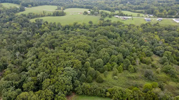 363 Henry DR, Ozark, MO 65721