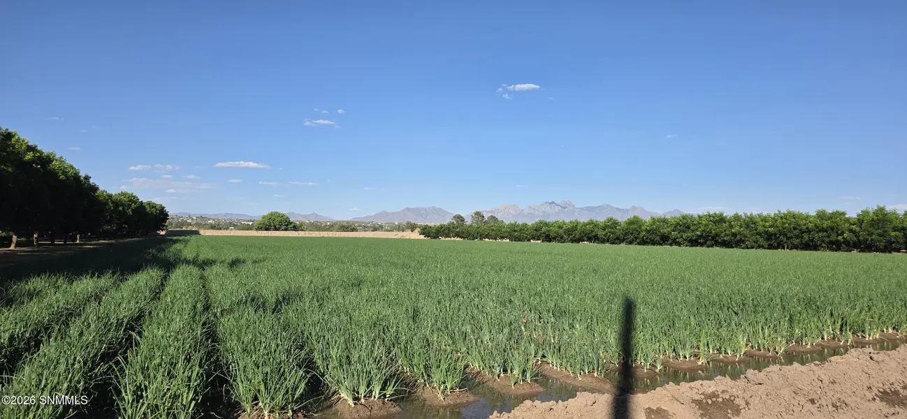 100 Fontana WAY, Las Cruces, NM 88007