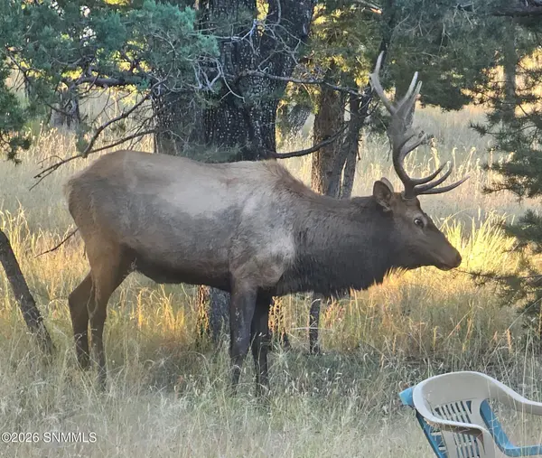 TBD Mesita DR, Alto, NM 88312