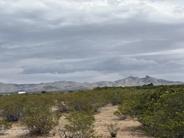 TBD Holman, Las Cruces, NM 88005