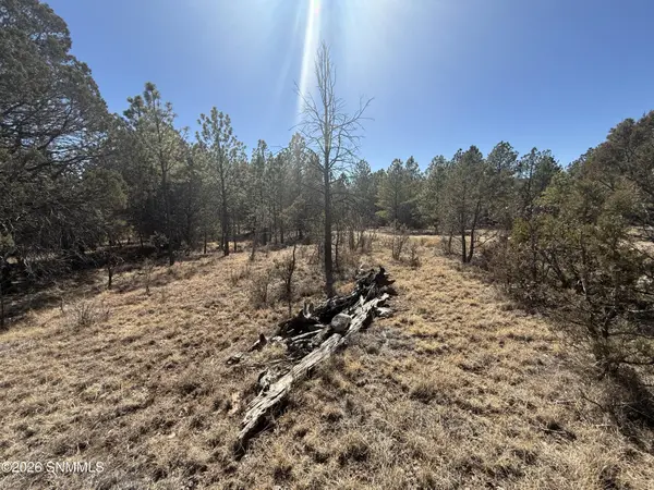 TBD Eldrado DR, Timberon, NM 88350