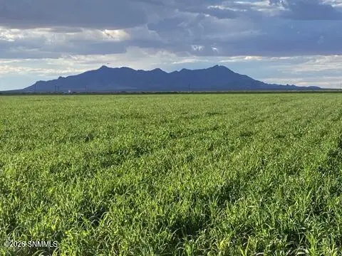 29570 San Diego ST, Columbus, NM 88029