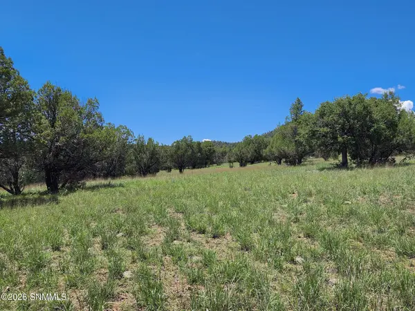 TBD Lot4A Highway 35, Mimbres, NM 88049