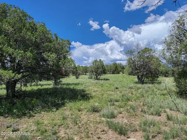 TBD Lot 5 Highway 35, Mimbres, NM 88049