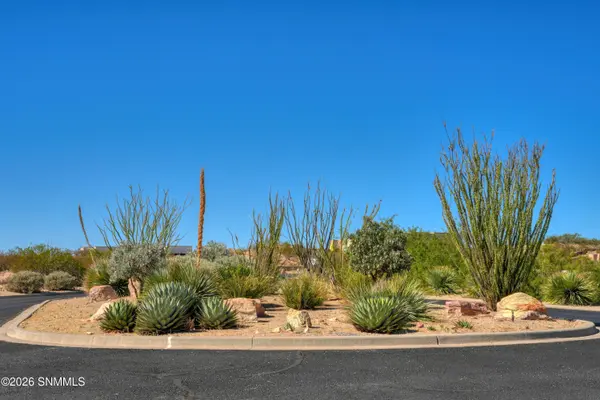 1301 Estancia Real RD, Las Cruces, NM 88007