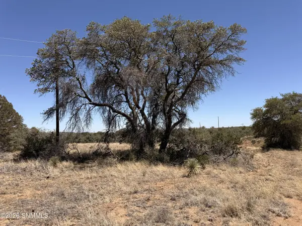 Block:7 Chisholm Estates, Silver City, NM 88061