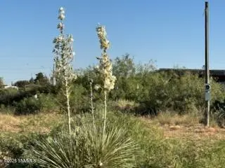 905 Oasis DR, Chaparral, NM 88081