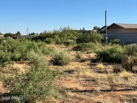 905 Oasis DR, Chaparral, NM 88081