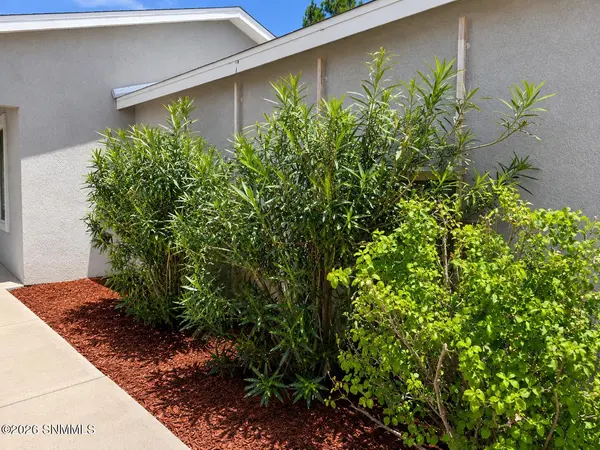 3801 Tiger Eye DR, Las Cruces, NM 88012