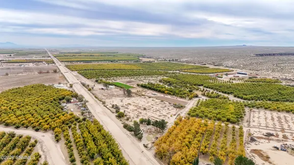 TBD County Road B10, La Mesa, NM 88044