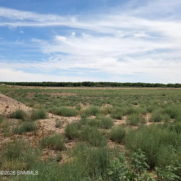 6525 Valle Del Rio DR #2D, La Mesa, NM 88044