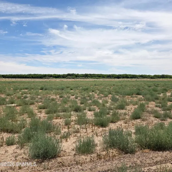 6525 Valle Del Rio DR #2C, La Mesa, NM 88044