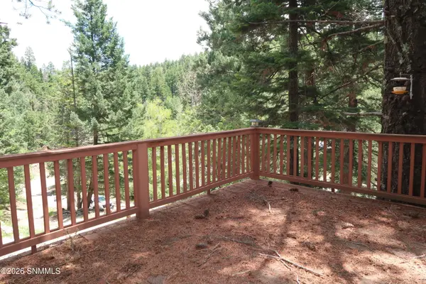 35 Silver Cloud DR, Cloudcroft, NM 88317