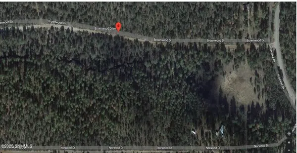 68 Brownwood RD, Timberon, NM 88350