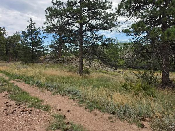 0 Lone Pine, Red Feather Lakes, CO 80545