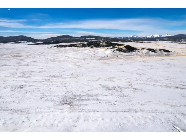 14255 Co Road 55, Hartsel, CO 80449