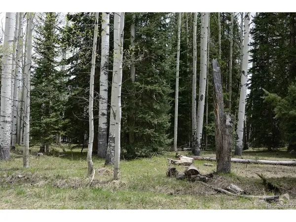 1401 Hazel Lake, Cimarron, CO 81220
