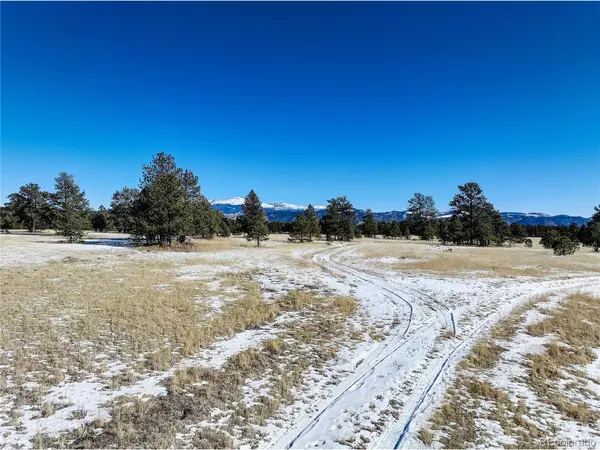 101 Ring, Guffey, CO 80820