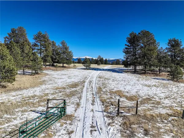 101 Ring, Guffey, CO 80820
