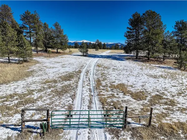 101 Ring, Guffey, CO 80820