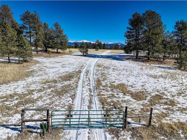 101 Ring, Guffey, CO 80820
