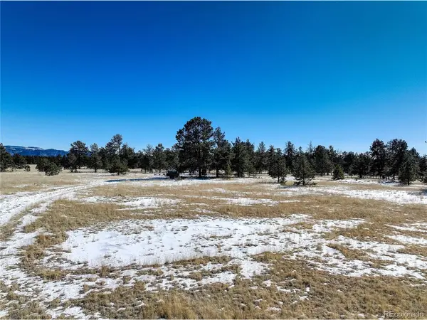 101 Ring, Guffey, CO 80820
