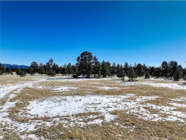101 Ring, Guffey, CO 80820
