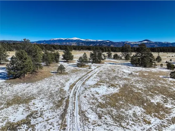 101 Ring, Guffey, CO 80820