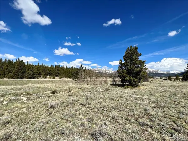 51394 HWY 9, Alma, CO 80420