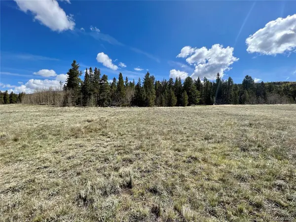 51394 HWY 9, Alma, CO 80420