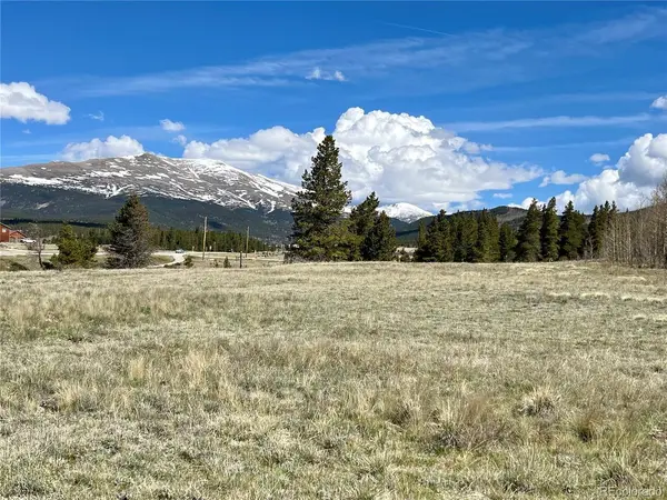 51394 HWY 9, Alma, CO 80420