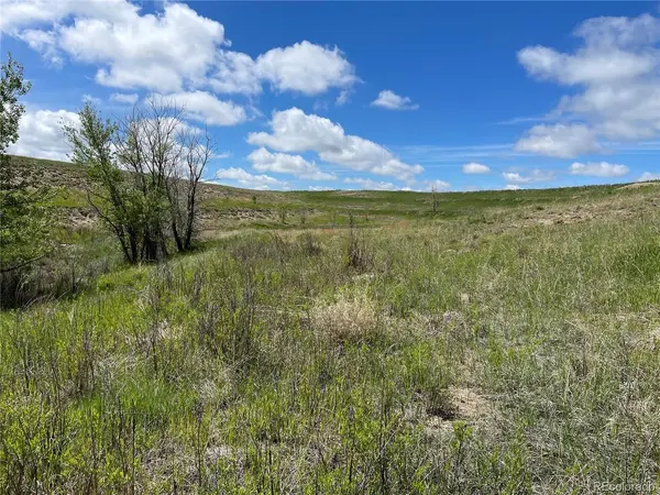Peyton, Peyton, CO 80831