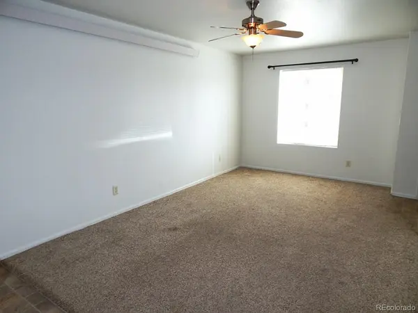 480 Antero #203, Buena Vista, CO 81211