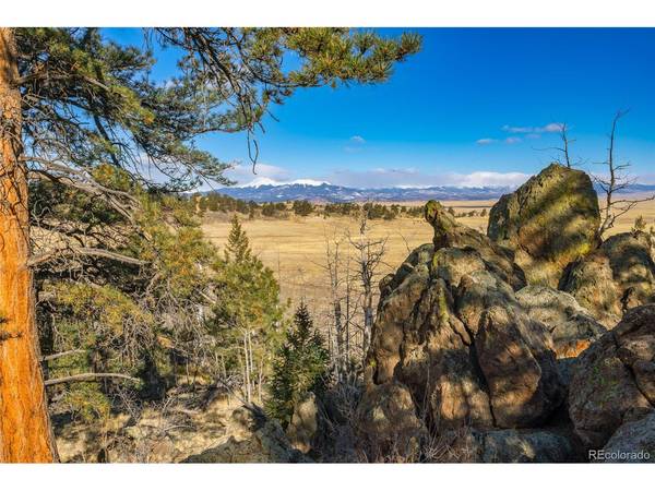 120 Euchee, Hartsel, CO 80449