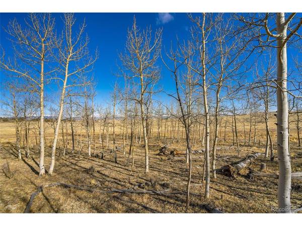 120 Euchee, Hartsel, CO 80449