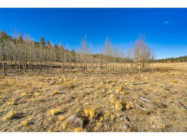120 Euchee, Hartsel, CO 80449
