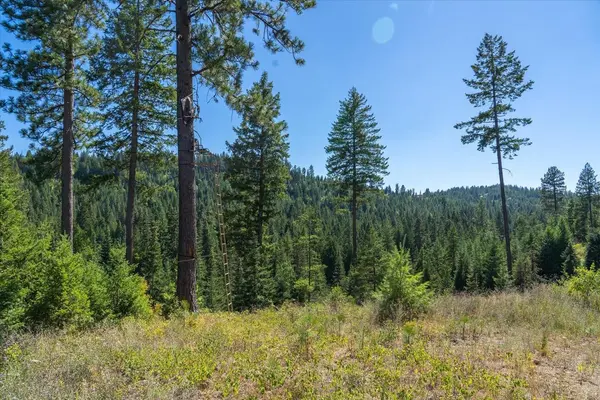 21620 E Lakeview Rd, Otis Orchards, WA 99027