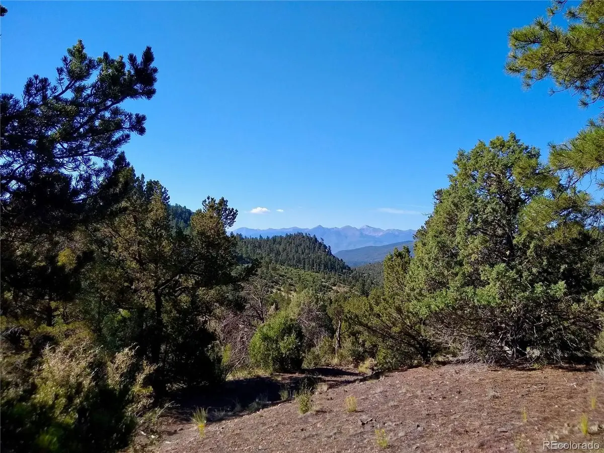 Address not disclosed, Cotopaxi, CO 81223