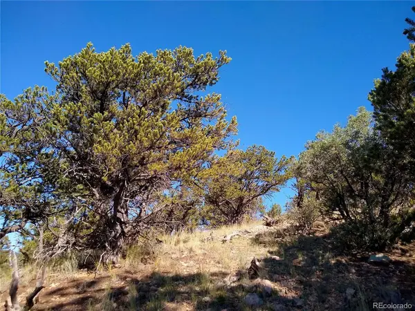 Address not disclosed, Cotopaxi, CO 81223