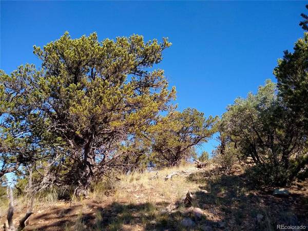 Address not disclosed, Cotopaxi, CO 81223