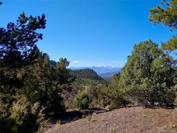 Cotopaxi, CO 81223