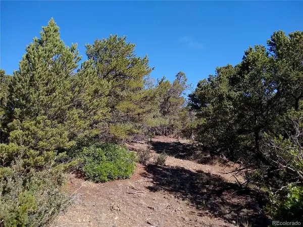Address not disclosed, Cotopaxi, CO 81223