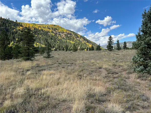 River Run, Antonito, CO 81120