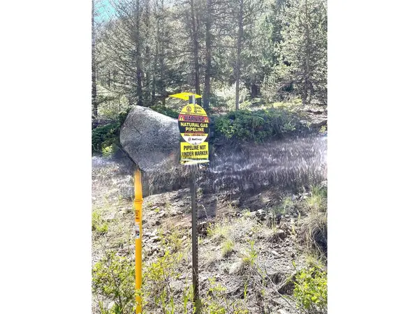 0 Live Englishman, Dumont, CO 80436