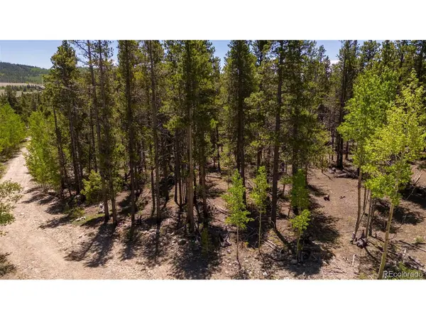 182 Willow, Alma, CO 80420